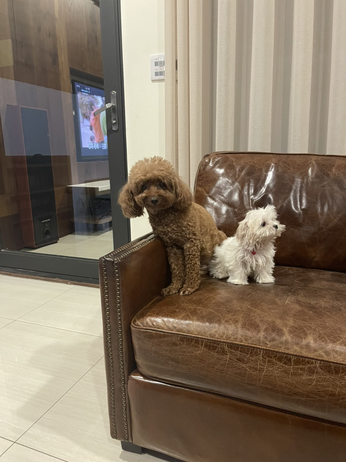 0009CB79-7B3C-4BA4-94B0-3B3C9695458B